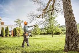 Best Arborist Consultation Services  in Dayton, VA